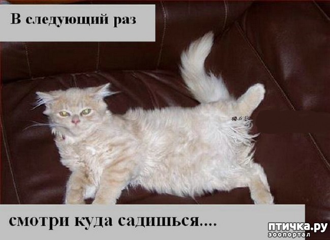 ���� 17: ��������� �����������: ������� �����.