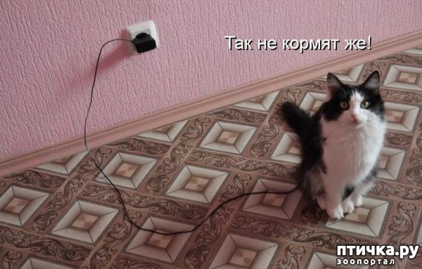 ���� 18: ��������� �����������: ������� �����.