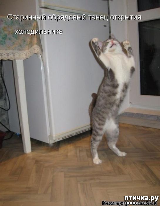 ���� 19: ��������� �����������: ������� �����.