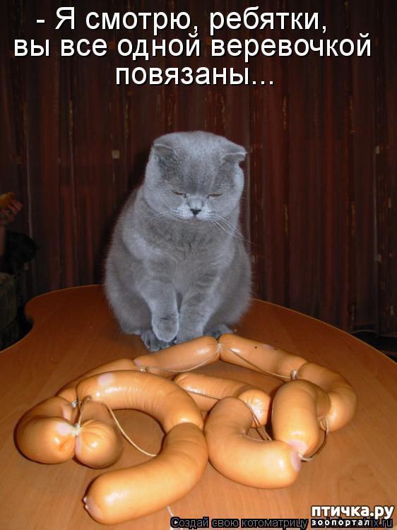 ���� 21: ��������� �����������: ������� �����.