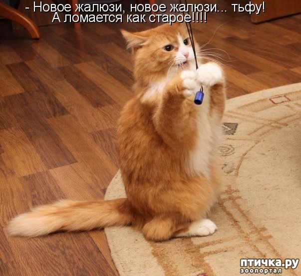 ���� 23: ��������� �����������: ������� �����.