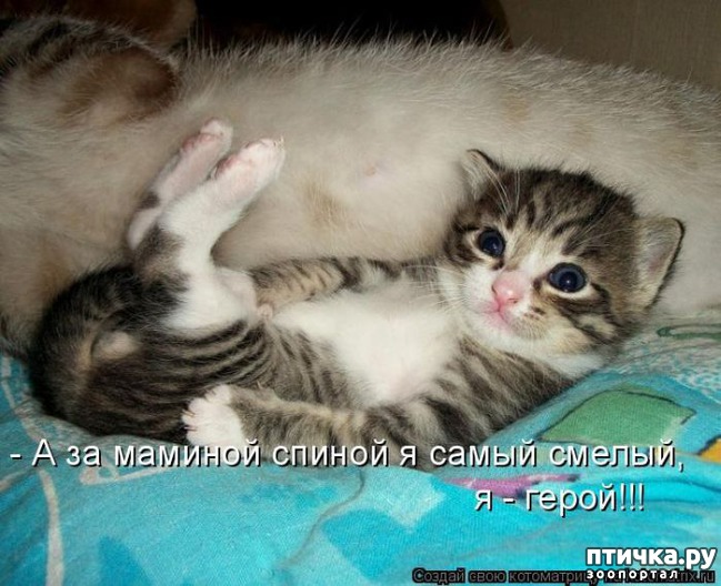 ���� 25: ��������� �����������: ������� �����.