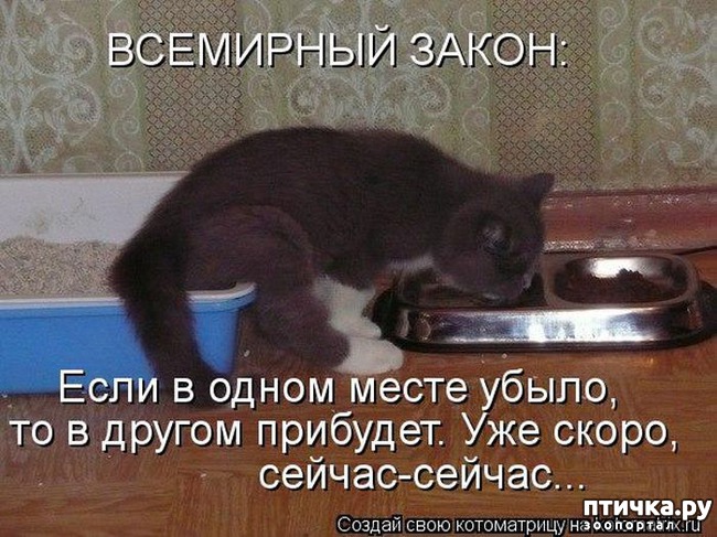 ���� 26: ��������� �����������: ������� �����.