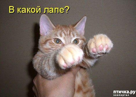 ���� 27: ��������� �����������: ������� �����.