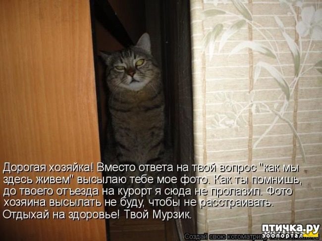 ���� 28: ��������� �����������: ������� �����.