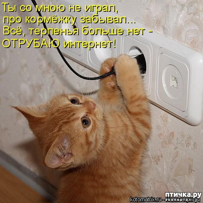 ���� 30: ��������� �����������: ������� �����.