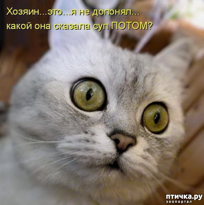 ���� 33: ��������� �����������: ������� �����.