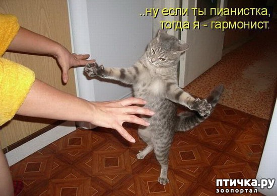 ���� 34: ��������� �����������: ������� �����.