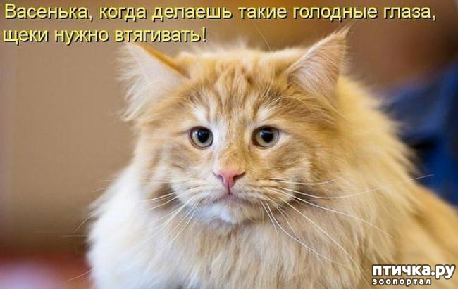 ���� 35: ��������� �����������: ������� �����.