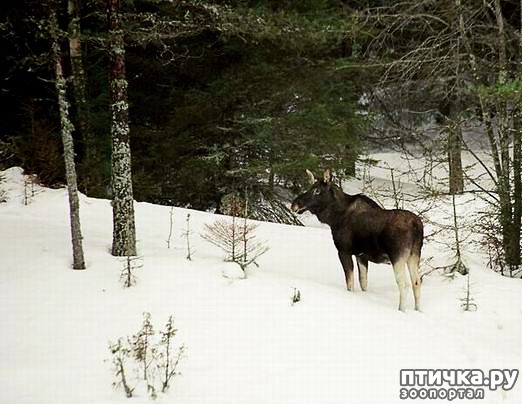 ���� 5: ����. ������� �����