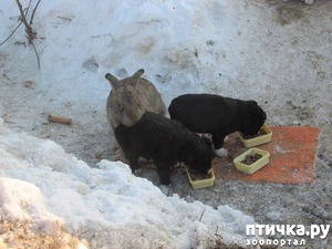 ����: ������, ���������� ������� ���� � ����)