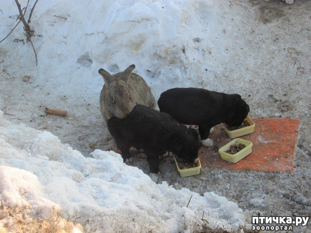 ���� 1: ������, ���������� ������� ���� � ����)