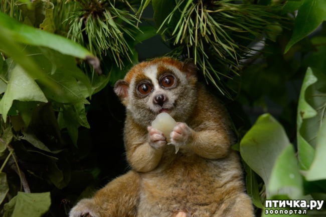 ���� 7: ������� ��������, ������� �� ������� ������ � �������