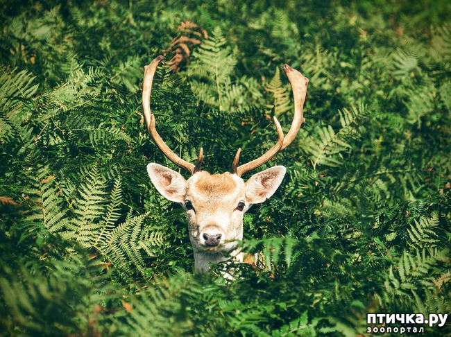 ���� 12: ������� ��������, ������� �� ������� ������ � �������