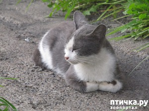 ����: ��������� ���