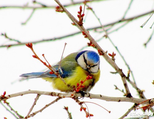 ���� 1: ������ � ������������ ������� �����.