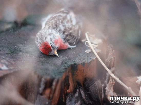 ���� 3: ������ � ������������ ������� �����.