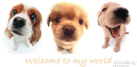 ���� 5: ������������� � ����� ���������� ����� � �������