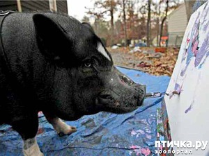 ����: ������� ���� �������� ������� ������, ��� ������� ��� ����!