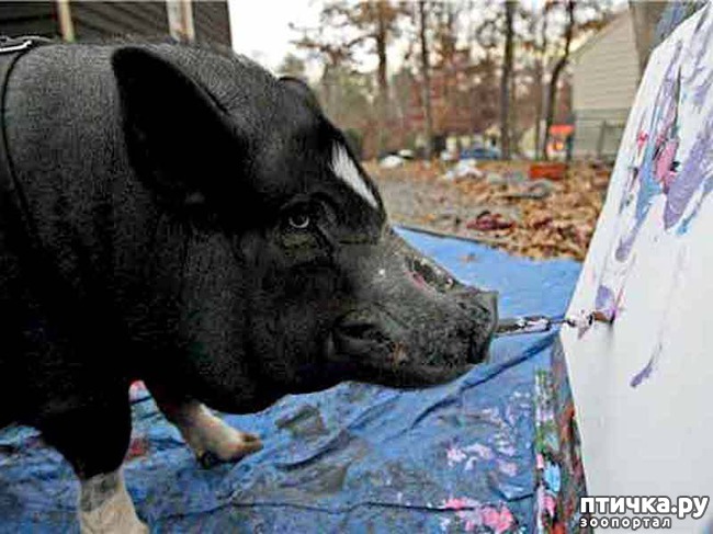 ���� 1: ������� ���� �������� ������� ������, ��� ������� ��� ����!