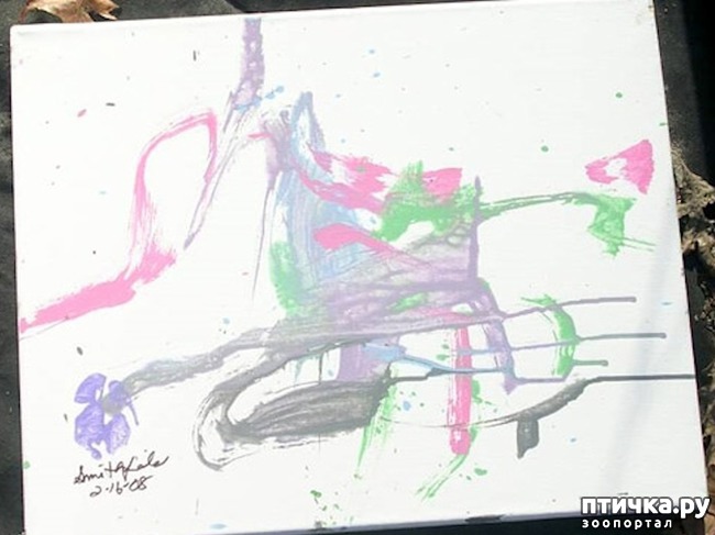 ���� 2: ������� ���� �������� ������� ������, ��� ������� ��� ����!