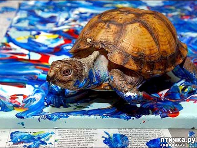 ���� 3: ������� ���� �������� ������� ������, ��� ������� ��� ����!