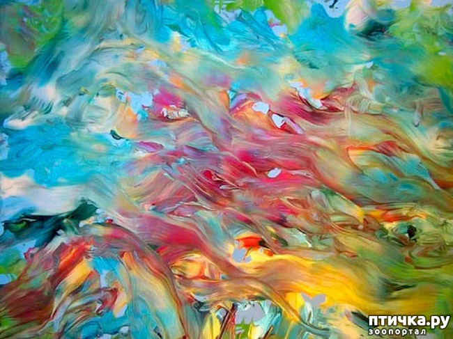 ���� 4: ������� ���� �������� ������� ������, ��� ������� ��� ����!