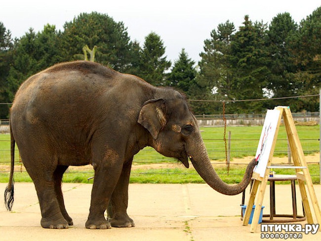 ���� 5: ������� ���� �������� ������� ������, ��� ������� ��� ����!