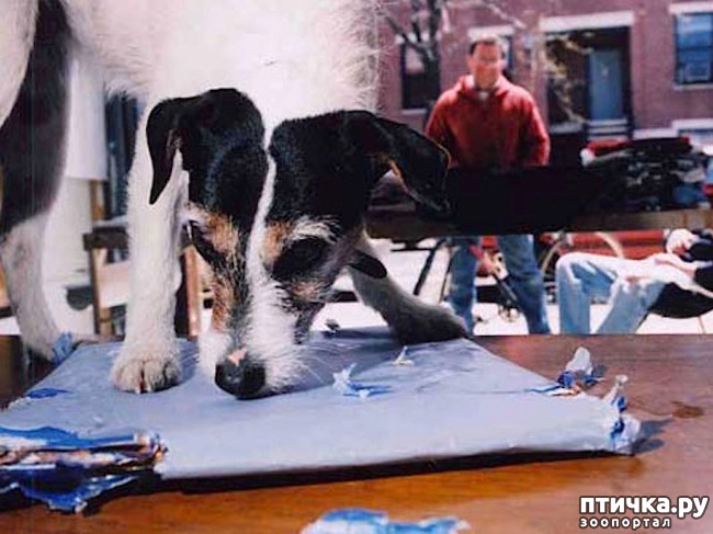 ���� 6: ������� ���� �������� ������� ������, ��� ������� ��� ����!