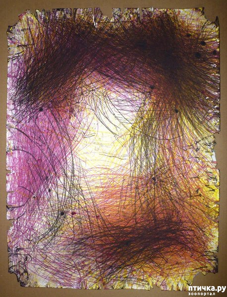 ���� 7: ������� ���� �������� ������� ������, ��� ������� ��� ����!