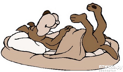 ���� 7: ������������� � ����� ���������� ����� � �������