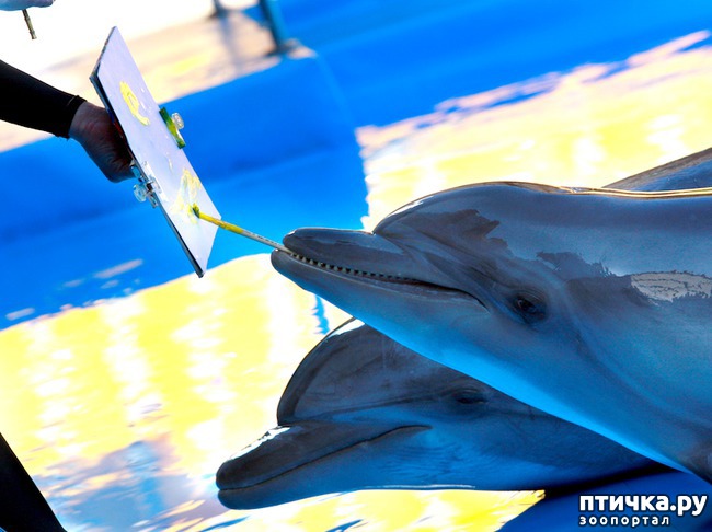 ���� 8: ������� ���� �������� ������� ������, ��� ������� ��� ����!