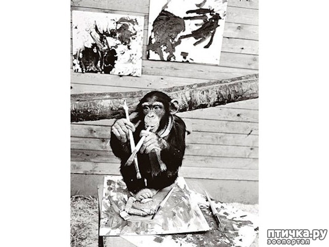 ���� 10: ������� ���� �������� ������� ������, ��� ������� ��� ����!