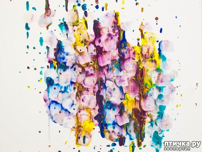 ���� 11: ������� ���� �������� ������� ������, ��� ������� ��� ����!