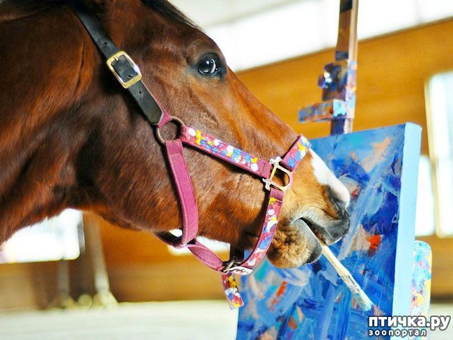 ���� 12: ������� ���� �������� ������� ������, ��� ������� ��� ����!