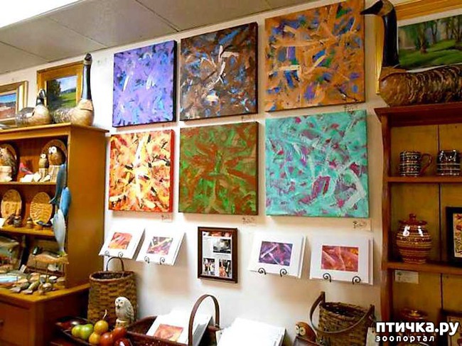 ���� 13: ������� ���� �������� ������� ������, ��� ������� ��� ����!