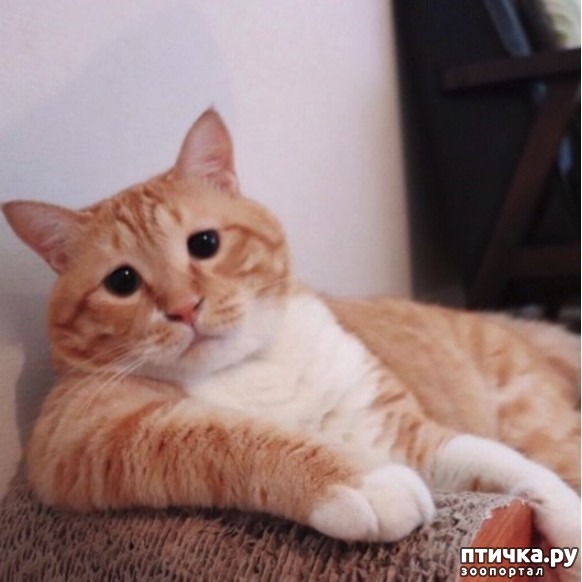 ���� 2: ���� �������