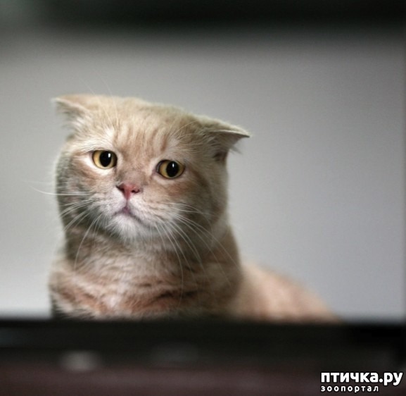 ���� 3: ���� �������