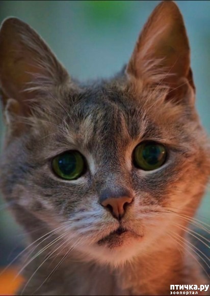 ���� 5: ���� �������