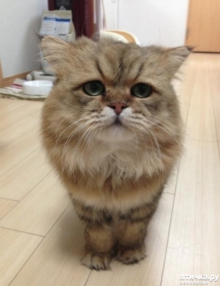 ���� 6: ���� �������