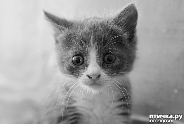 ���� 7: ���� �������