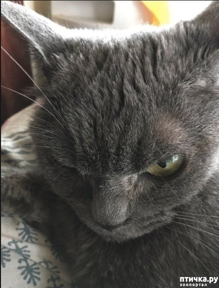 ���� 8: ���� �������