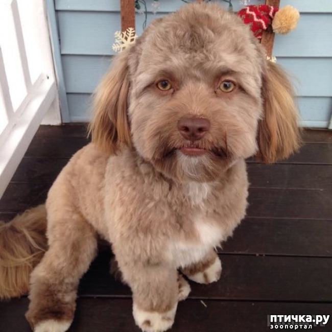 ���� 1: ������ � 