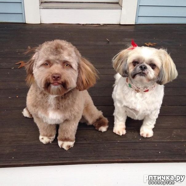 ���� 2: ������ � 