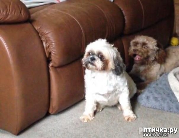 ���� 3: ������ � 