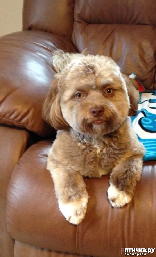 ���� 4: ������ � 