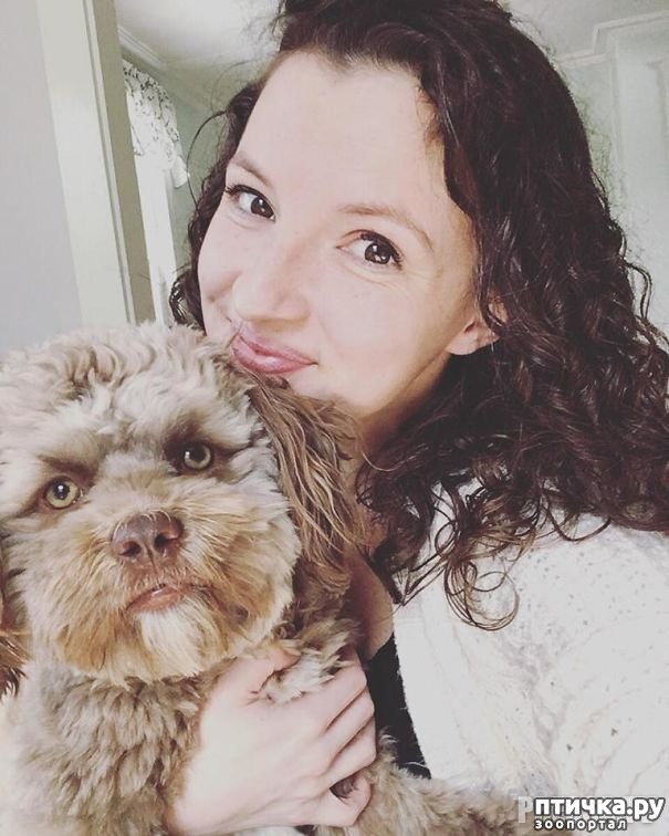 ���� 6: ������ � 