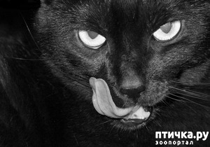 ����: ���������� ����� � ������ ������