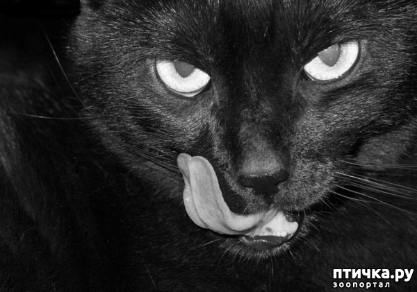 ���� 1: ���������� ����� � ������ ������