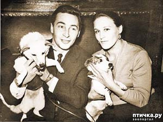 ���� 2: 10 ����� ���������� ����� � �������.